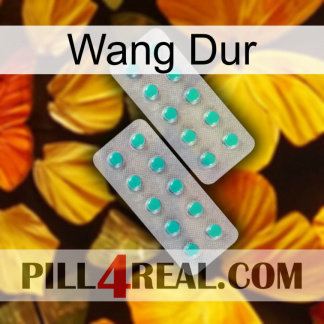 Hard Wang 29